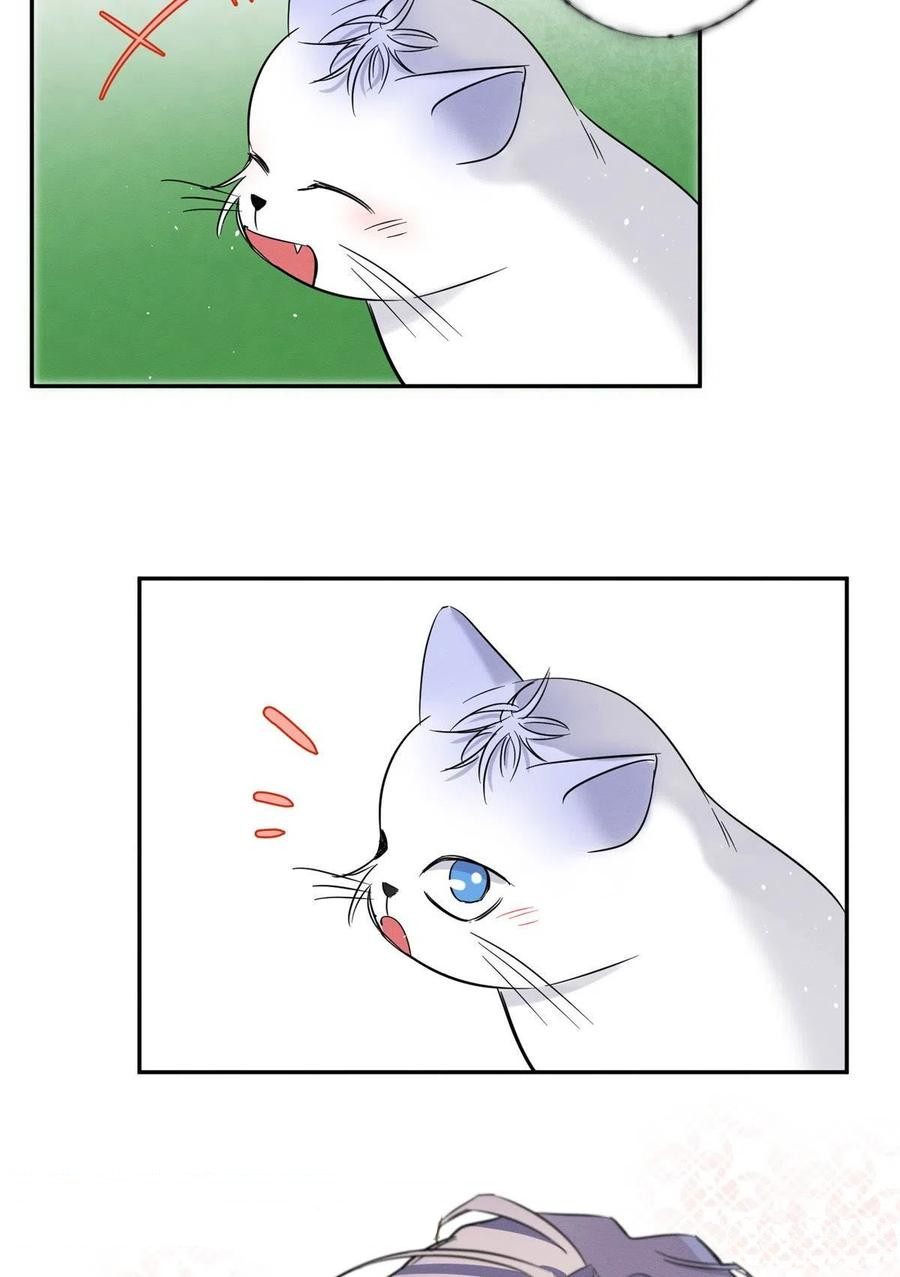 Tengo que trabajar duro para ser un gato hoy! - Capítulo 42 - Página 45 - LectorTMOo