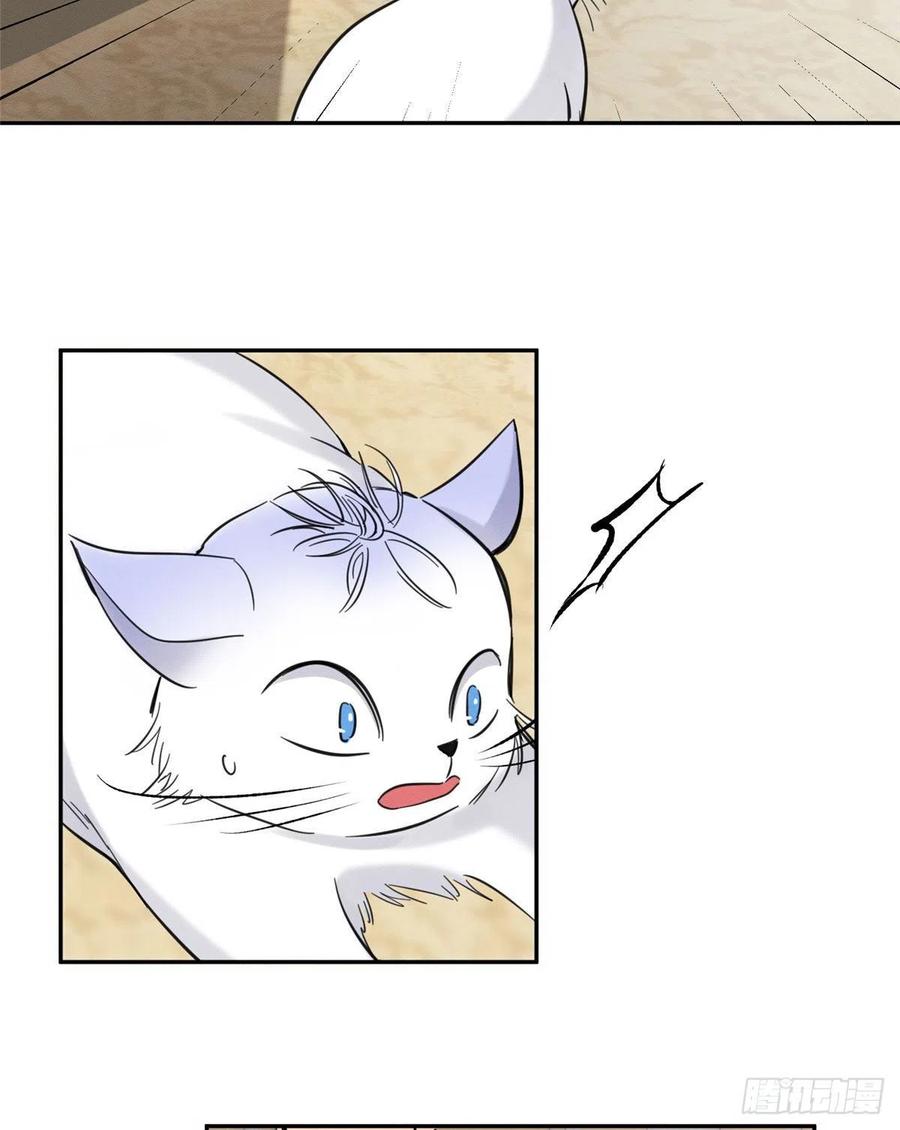 Tengo que trabajar duro para ser un gato hoy! - Capítulo 47 - Página 7 - LectorTMOo