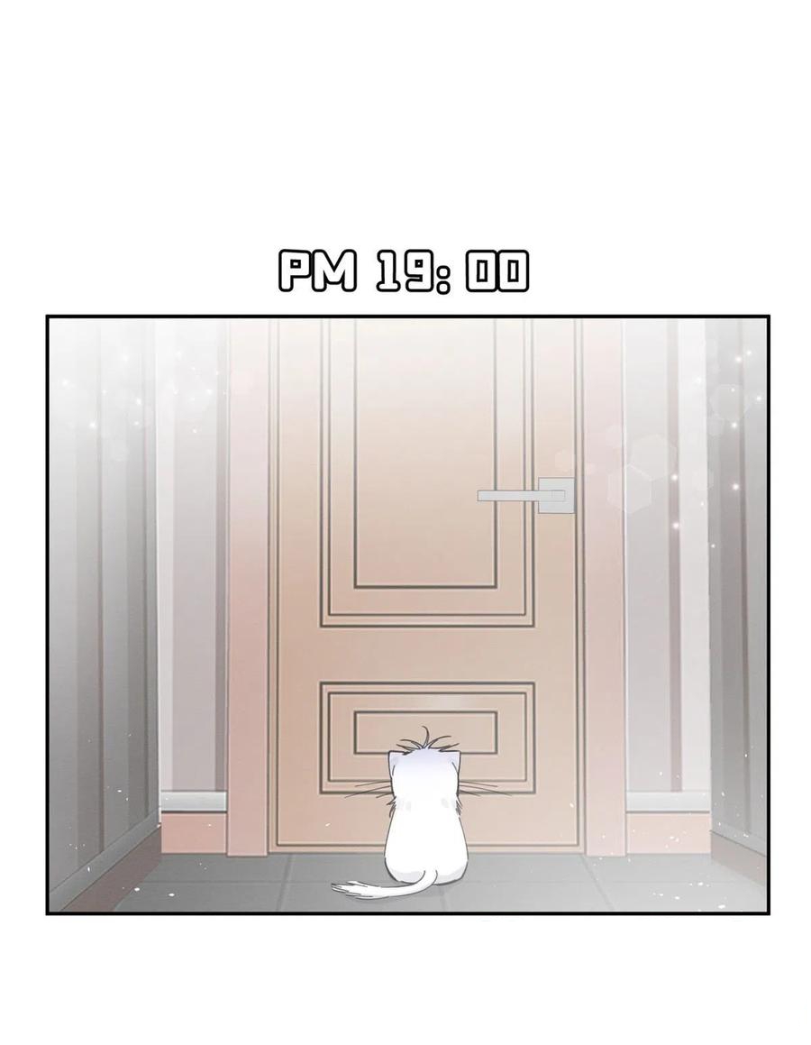 Tengo que trabajar duro para ser un gato hoy! - Capítulo 5 - Página 22 - LectorTMOo