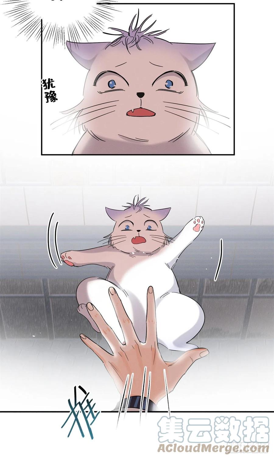 Tengo que trabajar duro para ser un gato hoy! - Capítulo 50 - Página 39 - LectorTMOo