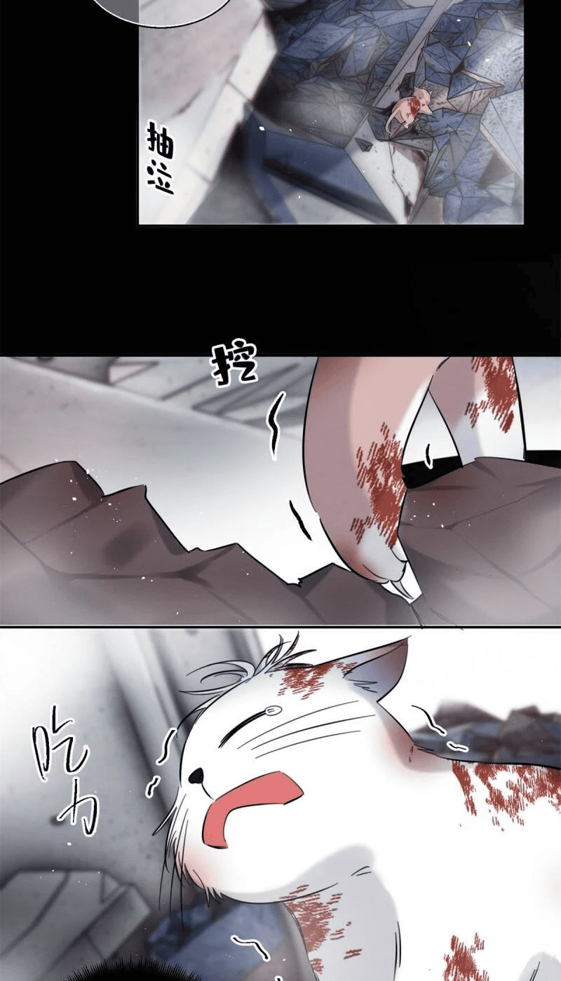 Tengo que trabajar duro para ser un gato hoy! - Capítulo 51 - Página 12 - LectorTMOo