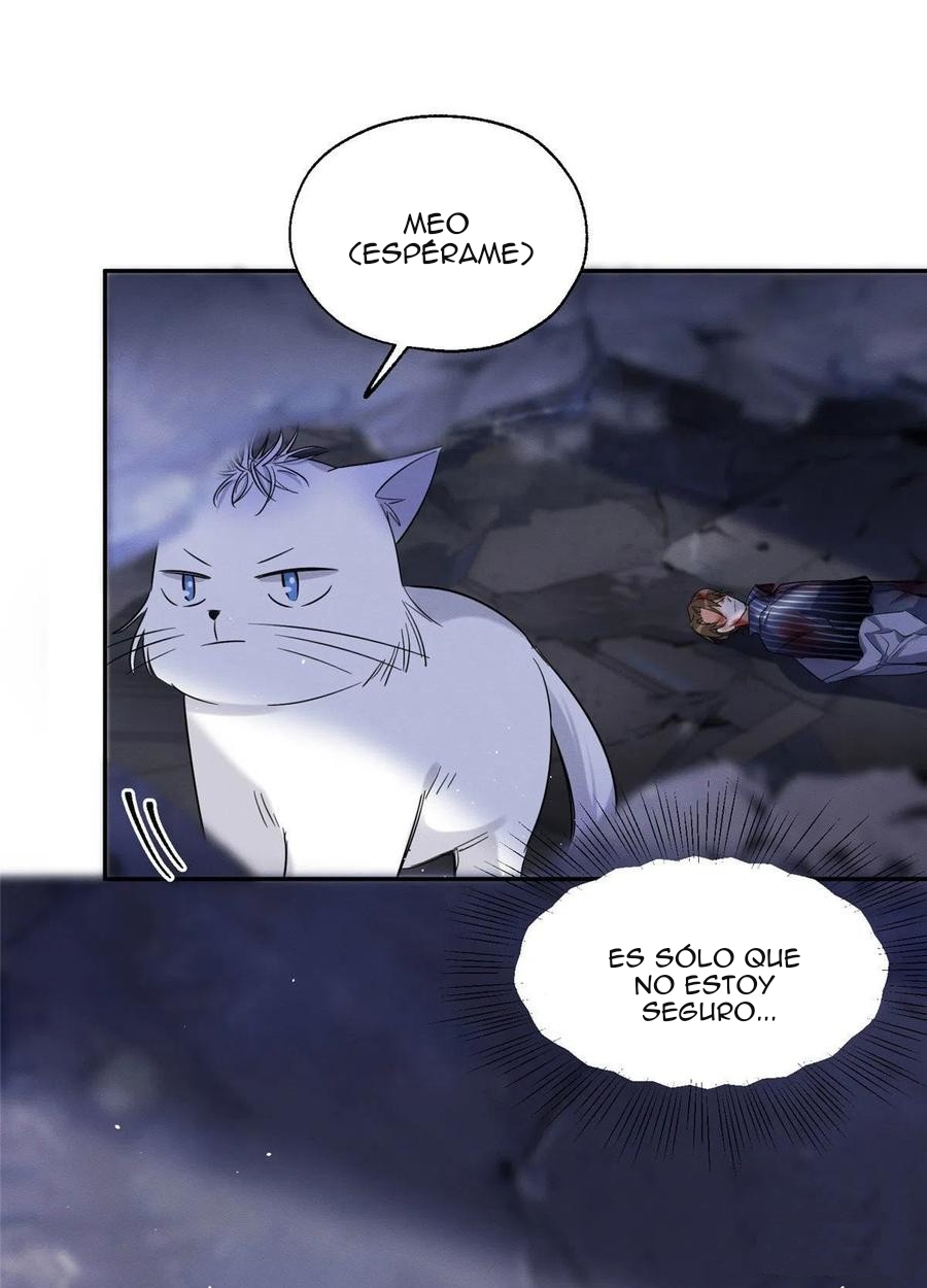 Tengo que trabajar duro para ser un gato hoy! - Capítulo 54 - Página 20 - LectorTMOo