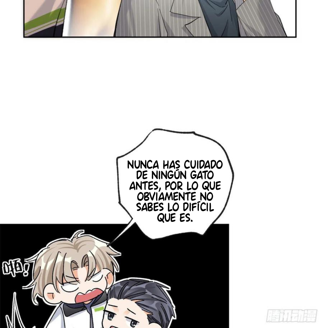 Tengo que trabajar duro para ser un gato hoy! - Capítulo 57 - Página 6 - LectorTMOo