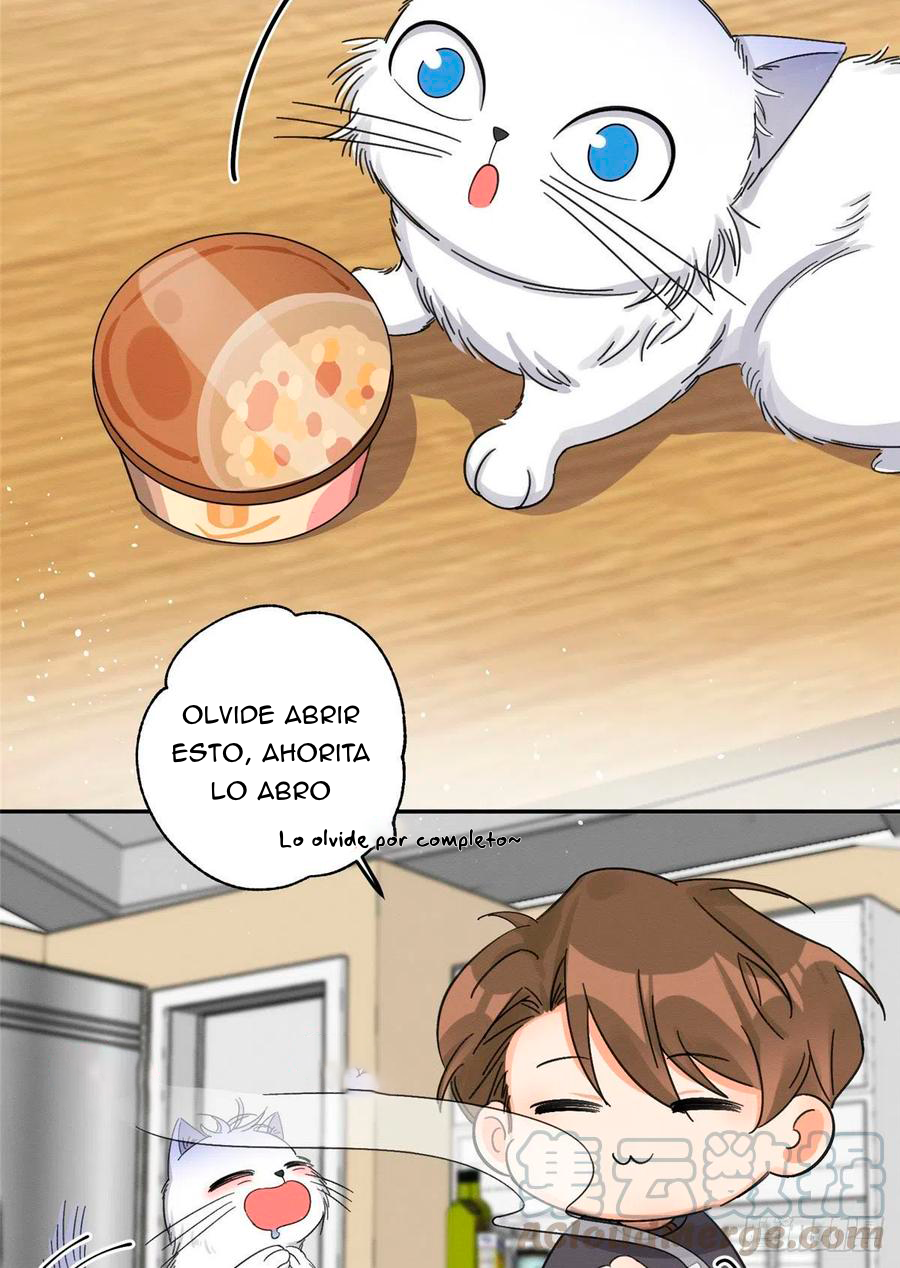 Tengo que trabajar duro para ser un gato hoy! - Capítulo 7 - Página 41 - LectorTMOo
