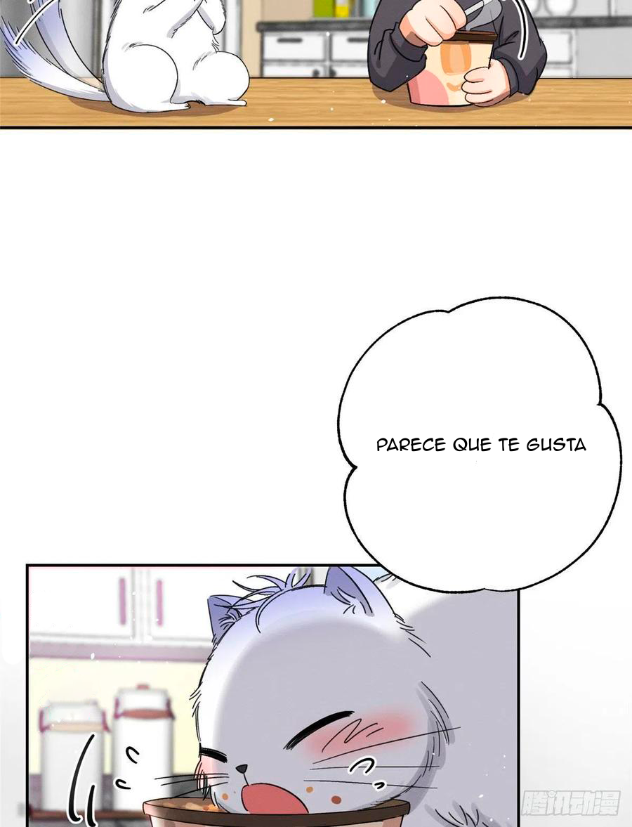 Tengo que trabajar duro para ser un gato hoy! - Capítulo 7 - Página 42 - LectorTMOo