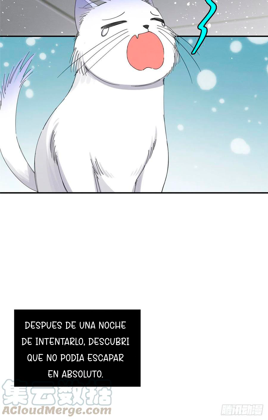 Tengo que trabajar duro para ser un gato hoy! - Capítulo 7 - Página 5 - LectorTMOo