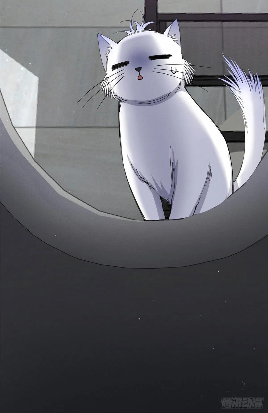 Tengo que trabajar duro para ser un gato hoy! - Capítulo 7 - Página 9 - LectorTMOo