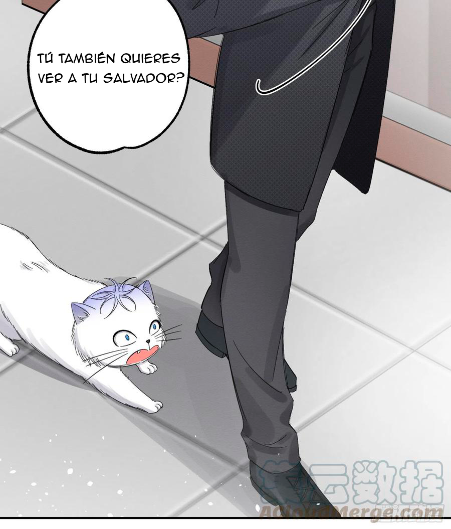 Tengo que trabajar duro para ser un gato hoy! - Capítulo 8 - Página 22 - LectorTMOo