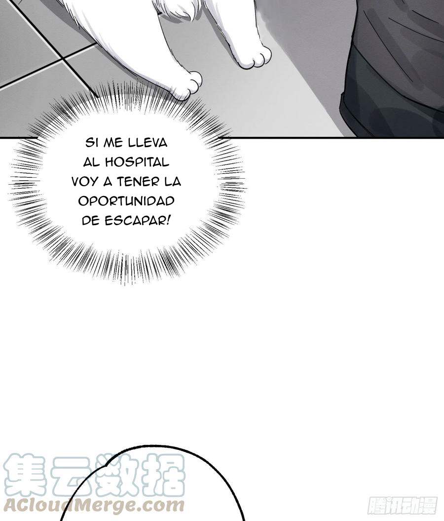 Tengo que trabajar duro para ser un gato hoy! - Capítulo 8 - Página 24 - LectorTMOo