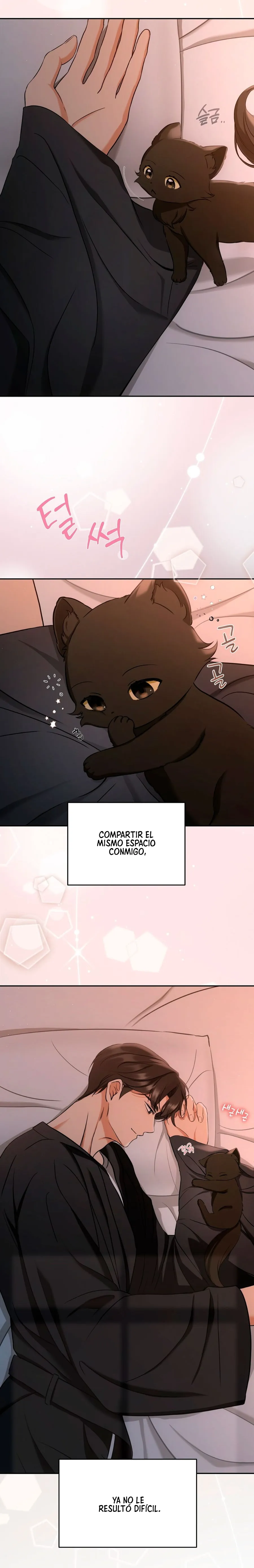 Terapia de gatos - Capítulo 2 - Página 13 - LectorTMOo