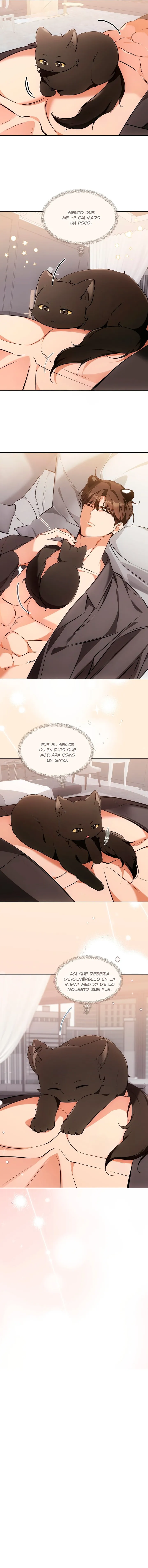 Terapia de gatos - Capítulo 21 - Página 7 - LectorTMOo