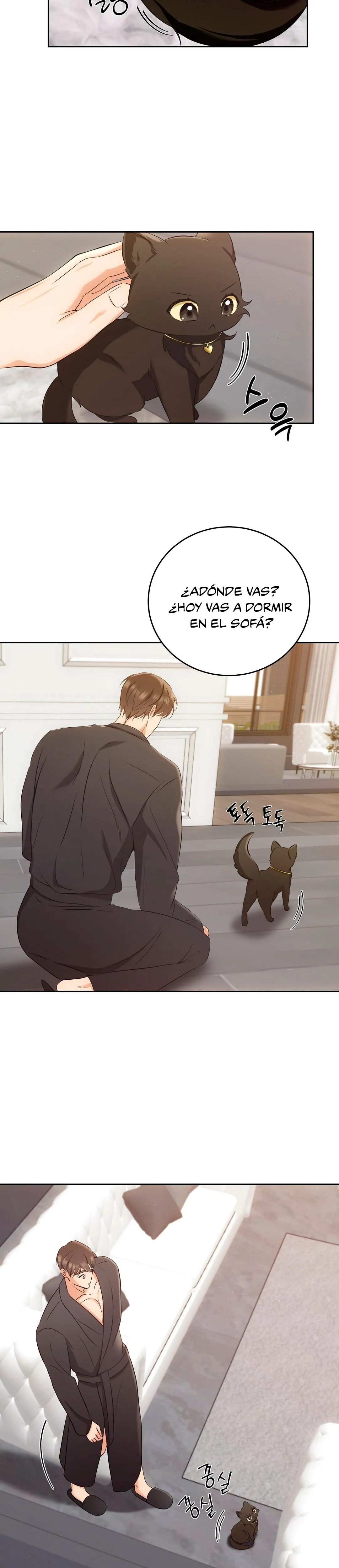 Terapia de gatos - Capítulo 3 - Página 5 - LectorTMOo