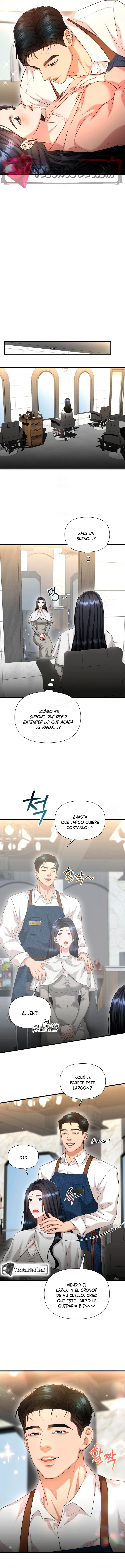 Tratamiento Capilar - Capítulo 2 - Página 11 - LectorTMOo
