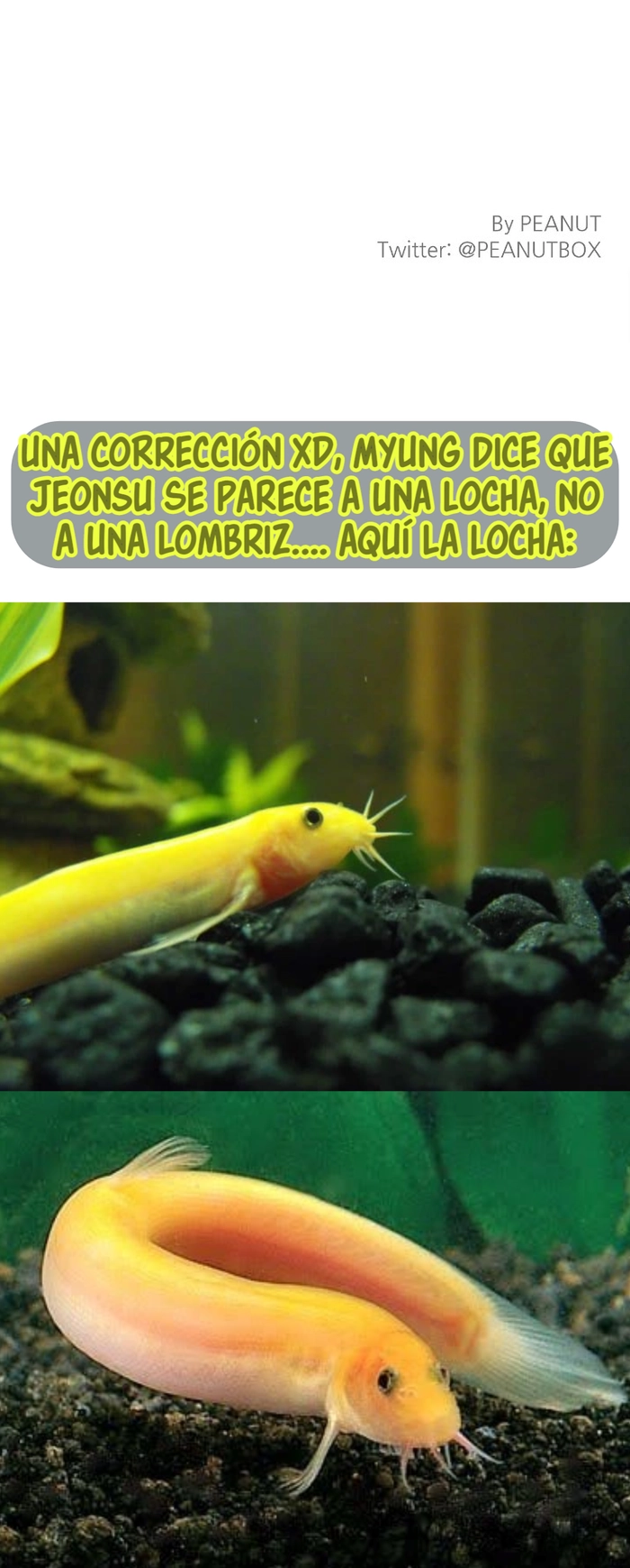 Un amor digno de fama - Capítulo 14 - Página 9 - LectorTMOo