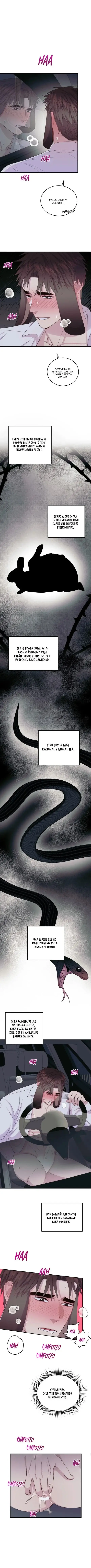 A Rabbit in Heat and a Snake That Is Good for the Body (2023) - Capítulo 3 - Página 5 - LectorTMOo