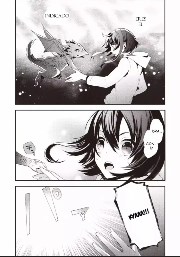 Akachan Ryuu no Osewagakari ni Ninmei Saremashita (2019) - Capítulo 1 - Página 11 - LectorTMOo