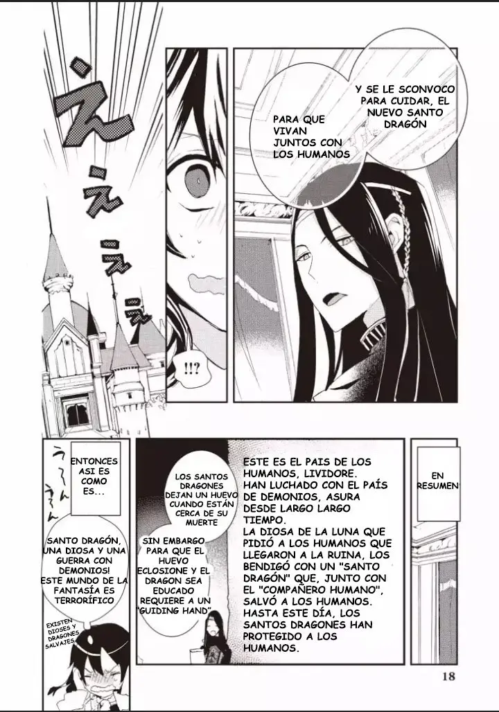 Akachan Ryuu no Osewagakari ni Ninmei Saremashita (2019) - Capítulo 1 - Página 19 - LectorTMOo