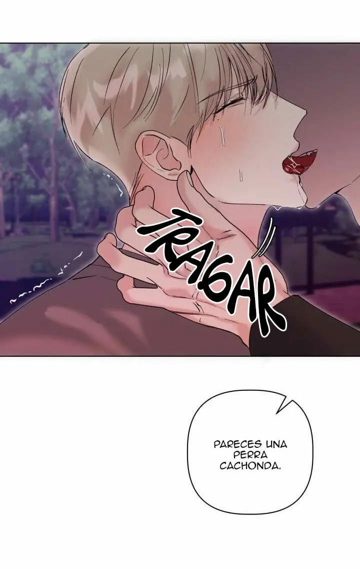 Amor Perverso - Capítulo 8 - Página 37 - LectorTMOo