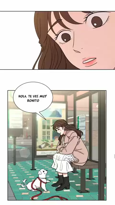 Amor que solo yo sé (2019) - Capítulo 43 - Página 20 - LectorTMOo