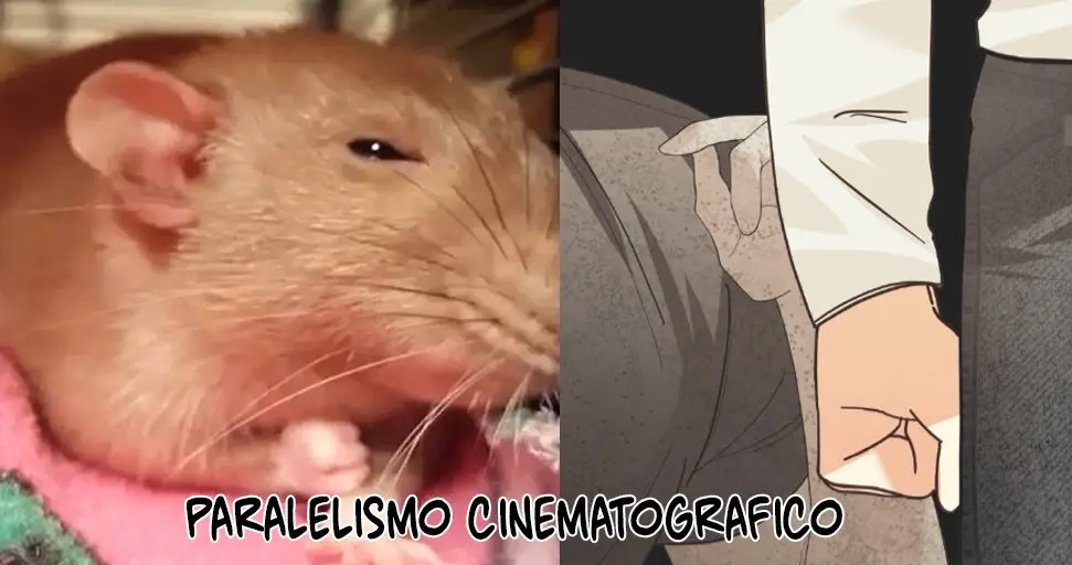 Apostando por ti (2023) - Capítulo 29 - Página 51 - LectorTMOo