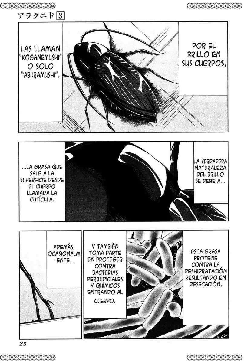 Arachnid (2009) - Capítulo 11 - Página 22 - LectorTMOo