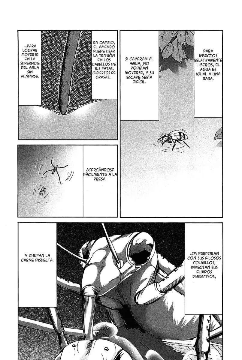 Arachnid (2009) - Capítulo 19 - Página 35 - LectorTMOo