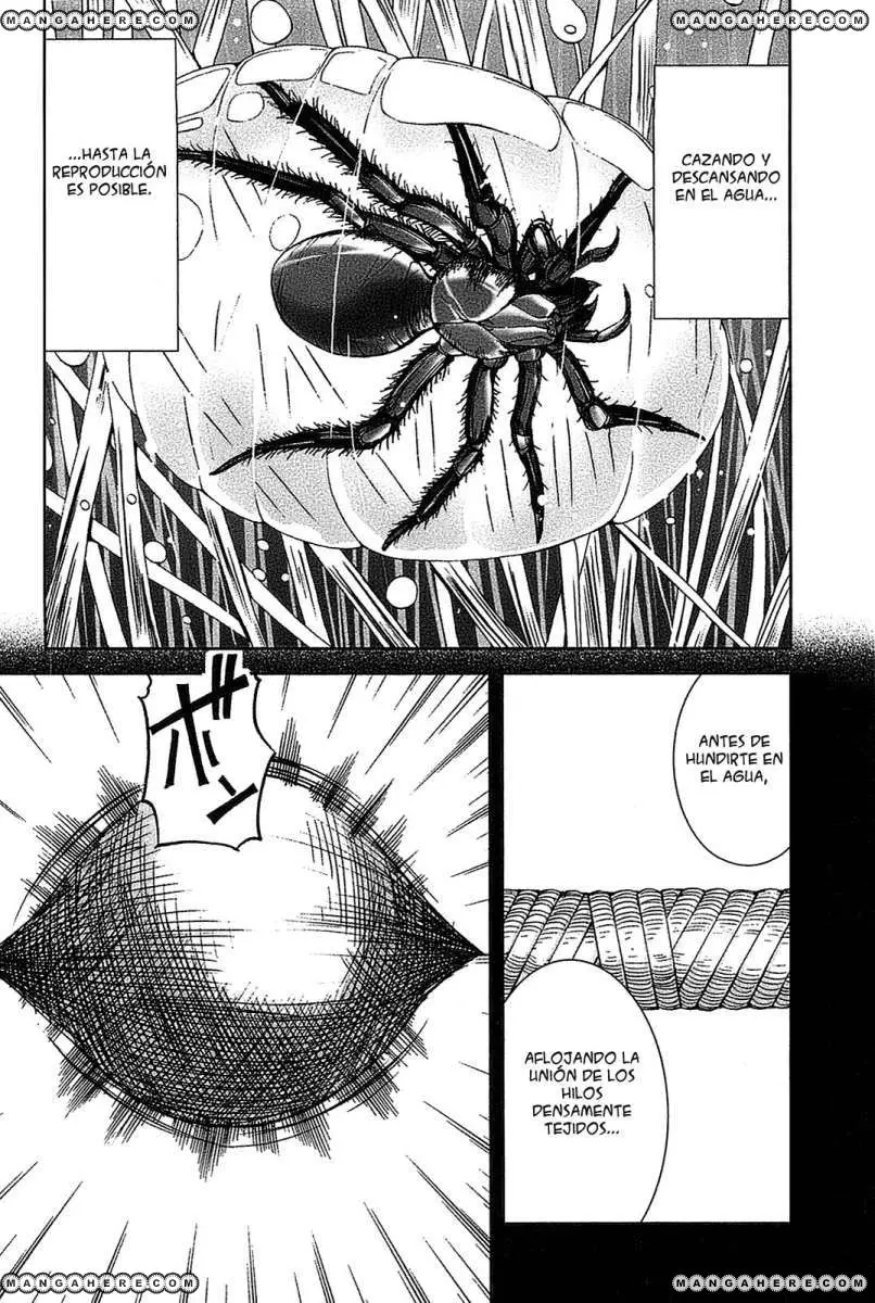 Arachnid (2009) - Capítulo 20 - Página 16 - LectorTMOo