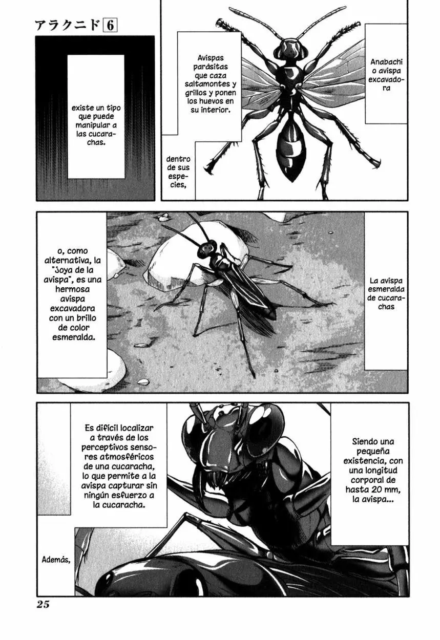 Arachnid (2009) - Capítulo 26 - Página 27 - LectorTMOo