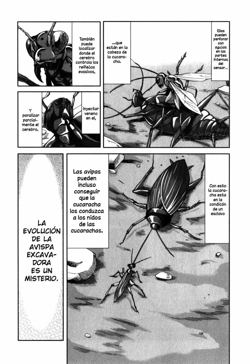 Arachnid (2009) - Capítulo 26 - Página 28 - LectorTMOo