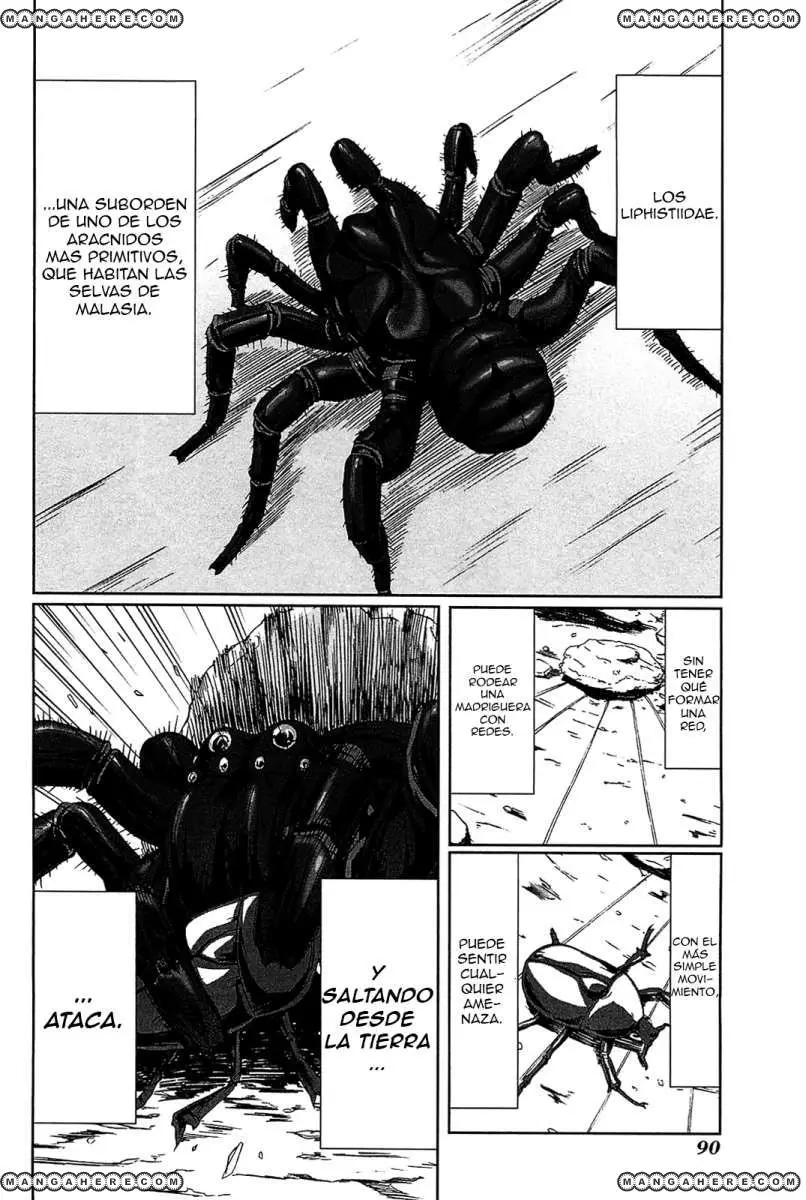 Arachnid (2009) - Capítulo 3 - Página 4 - LectorTMOo
