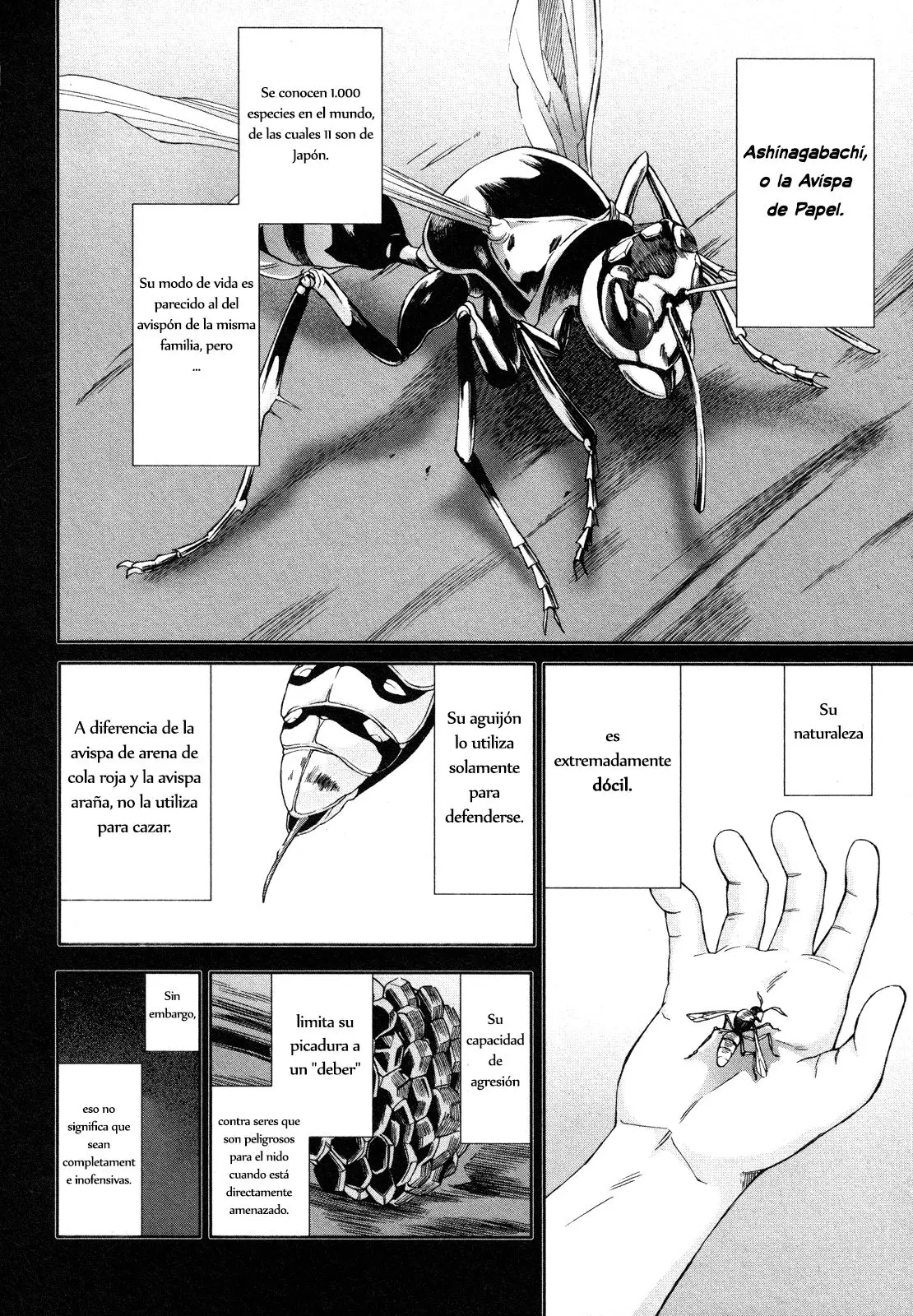 Arachnid (2009) - Capítulo 64 - Página 23 - LectorTMOo