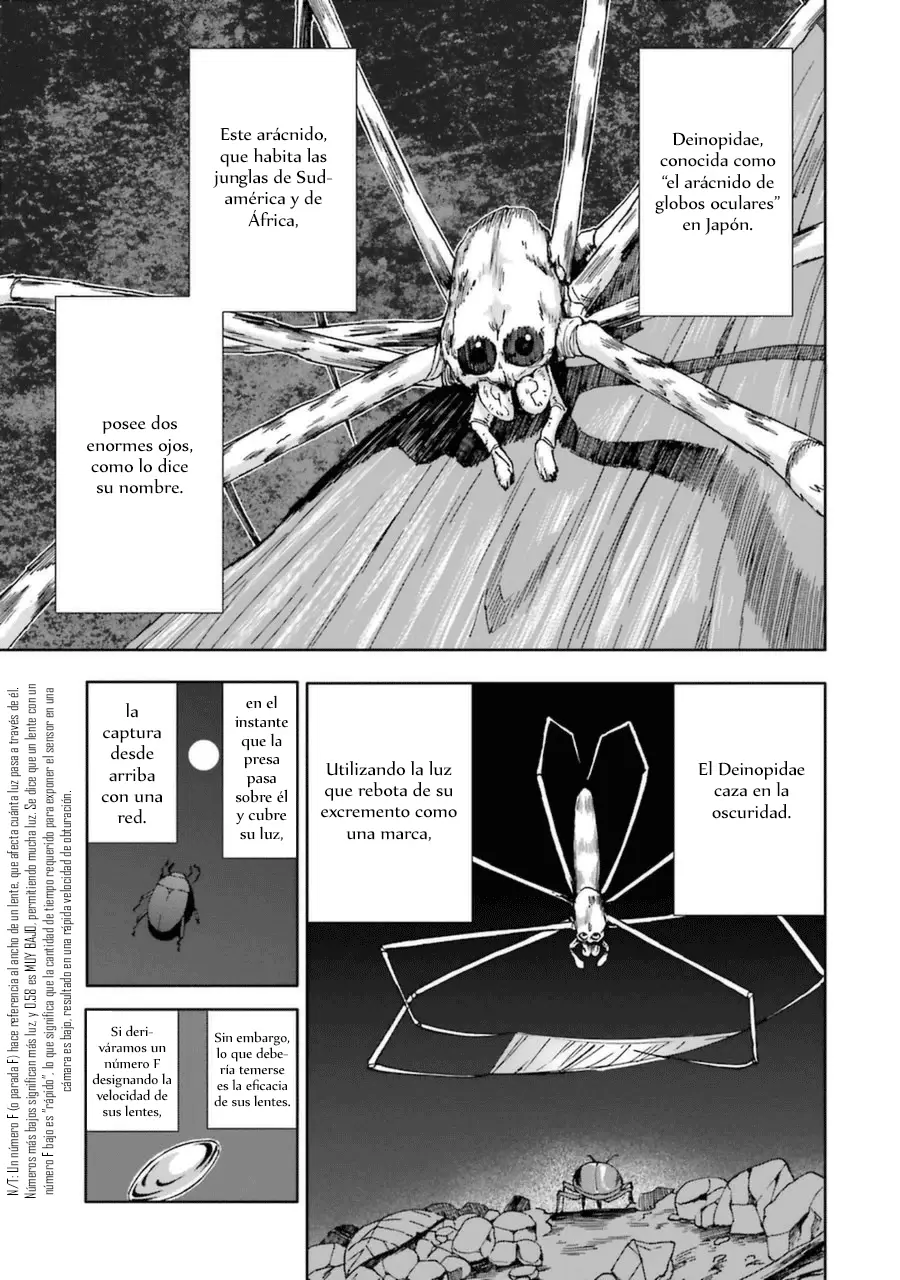 Arachnid (2009) - Capítulo 70 - Página 30 - LectorTMOo