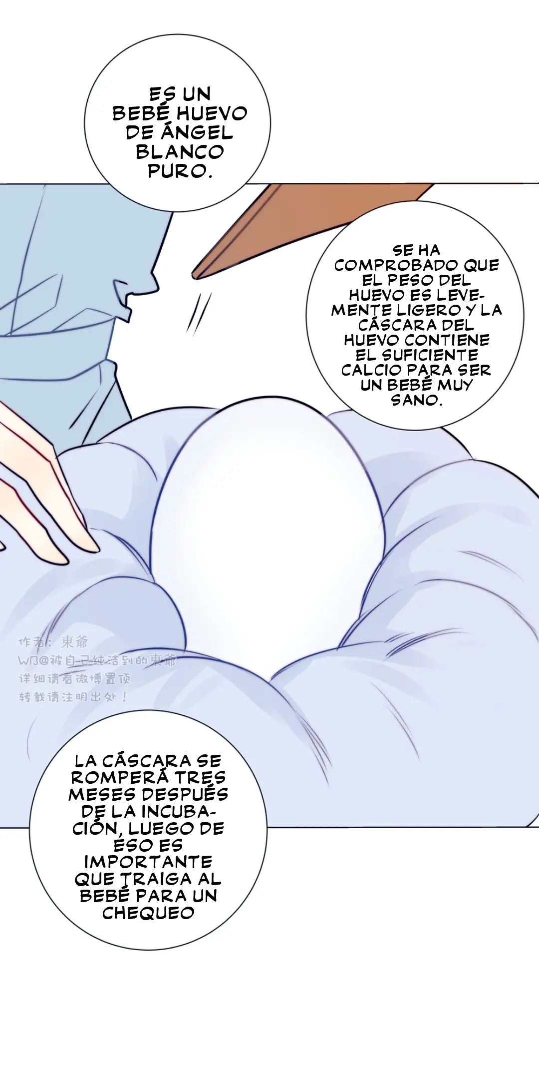 Arcangel y Querubín [Ring] - Capítulo 70 - Página 20 - LectorTMOo
