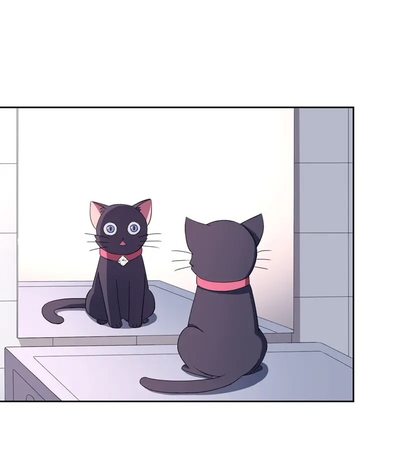 At Your Service, KITTY - Capítulo 1 - Página 16 - LectorTMOo