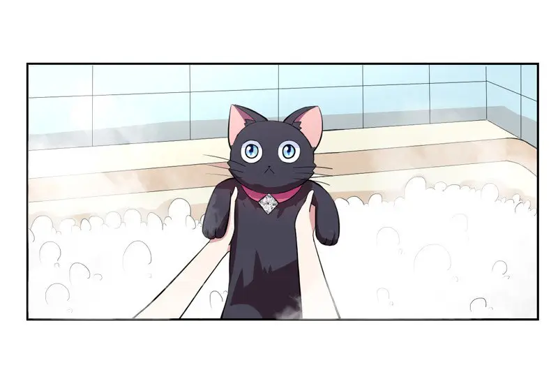 At Your Service, KITTY - Capítulo 1 - Página 26 - LectorTMOo
