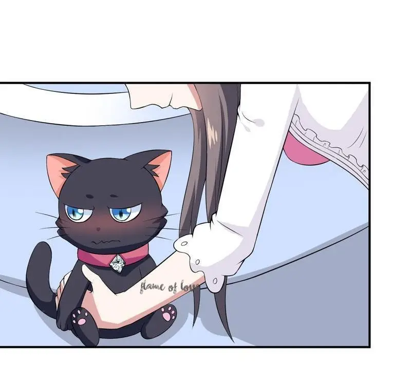 At Your Service, KITTY - Capítulo 18 - Página 5 - LectorTMOo
