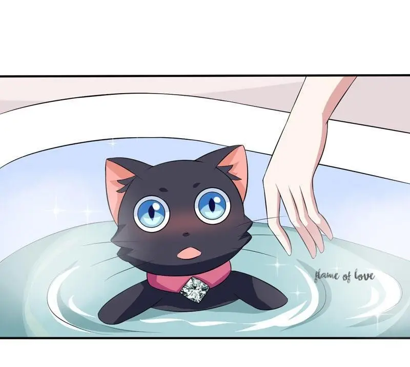 At Your Service, KITTY - Capítulo 18 - Página 6 - LectorTMOo