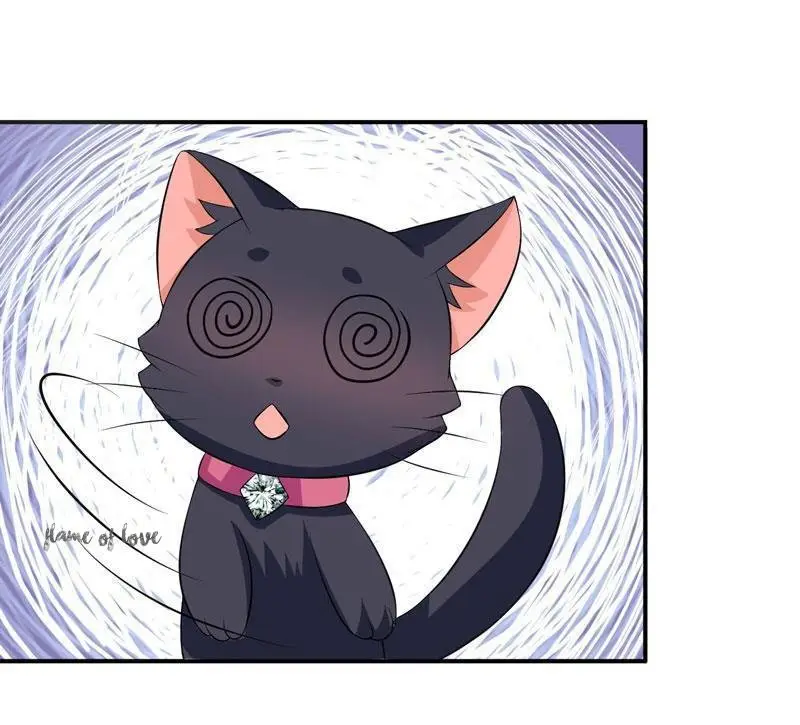 At Your Service, KITTY - Capítulo 18 - Página 11 - LectorTMOo