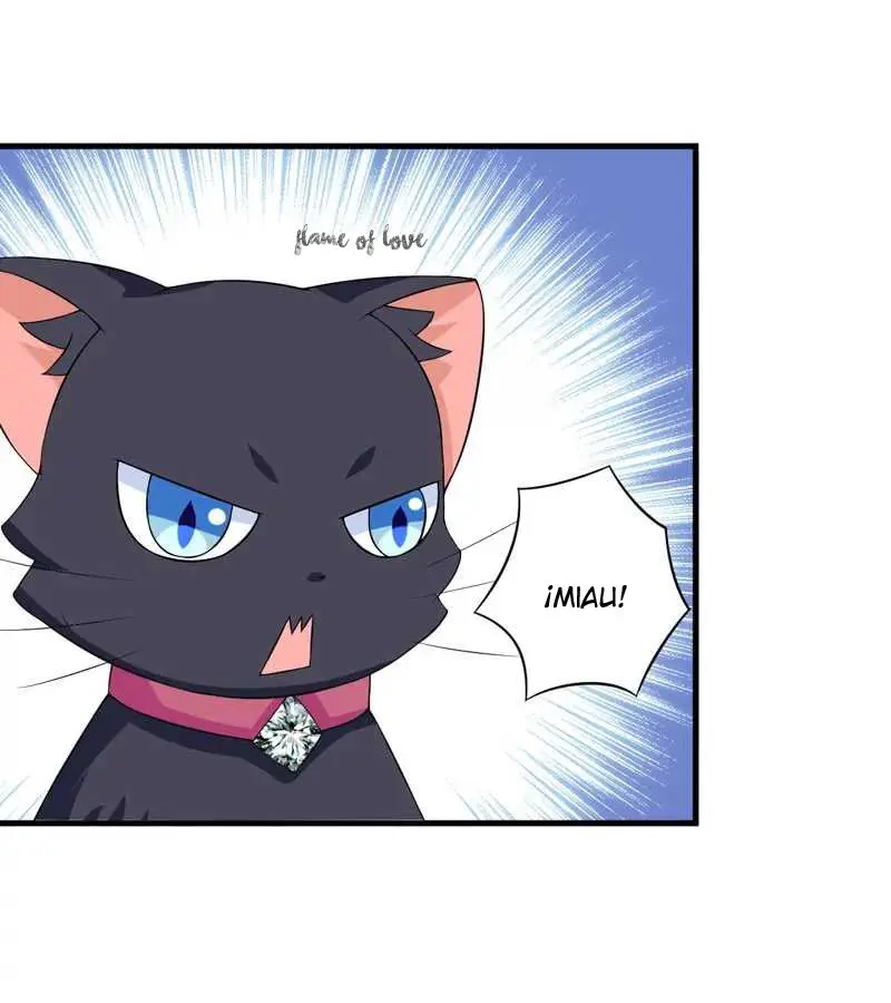 At Your Service, KITTY - Capítulo 24 - Página 4 - LectorTMOo