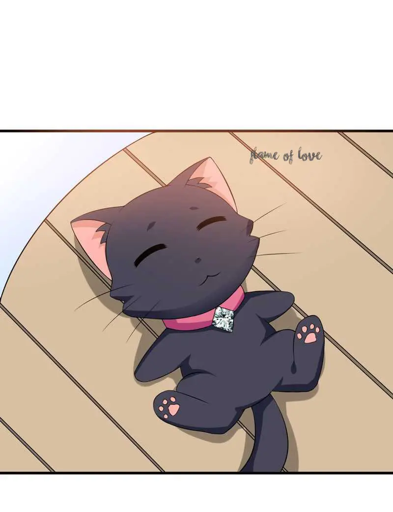 At Your Service, KITTY - Capítulo 25 - Página 3 - LectorTMOo
