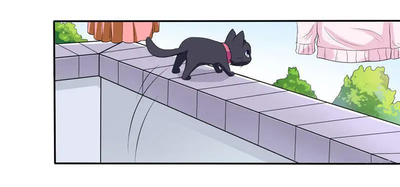 At Your Service, KITTY - Capítulo 3 - Página 8 - LectorTMOo