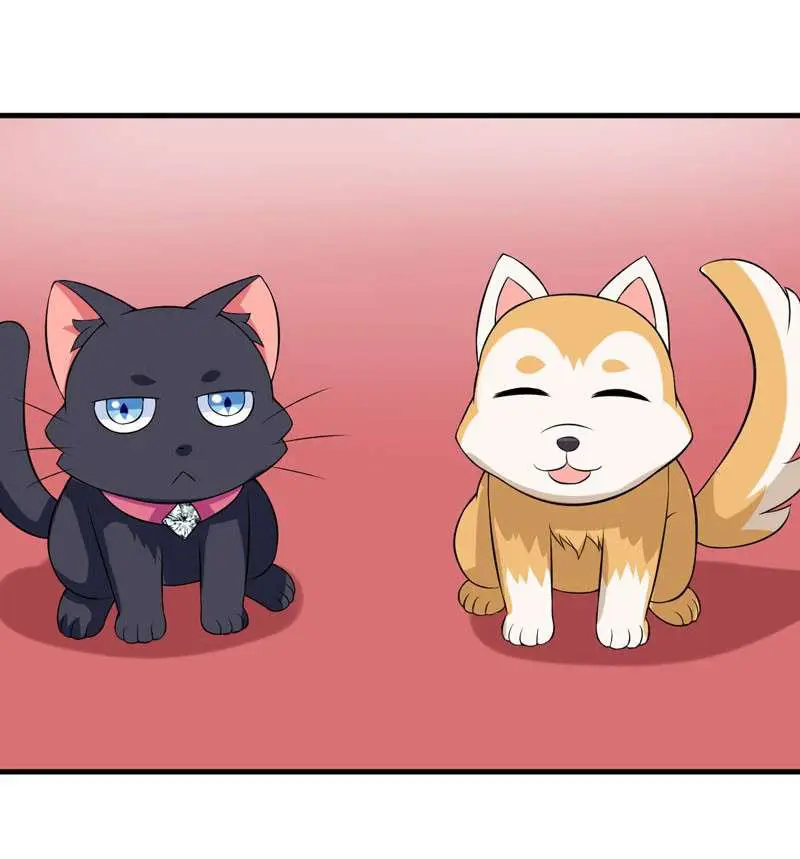 At Your Service, KITTY - Capítulo 33 - Página 24 - LectorTMOo