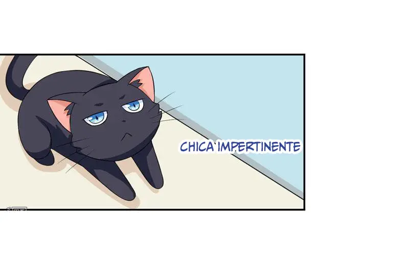 At Your Service, KITTY - Capítulo 6 - Página 35 - LectorTMOo