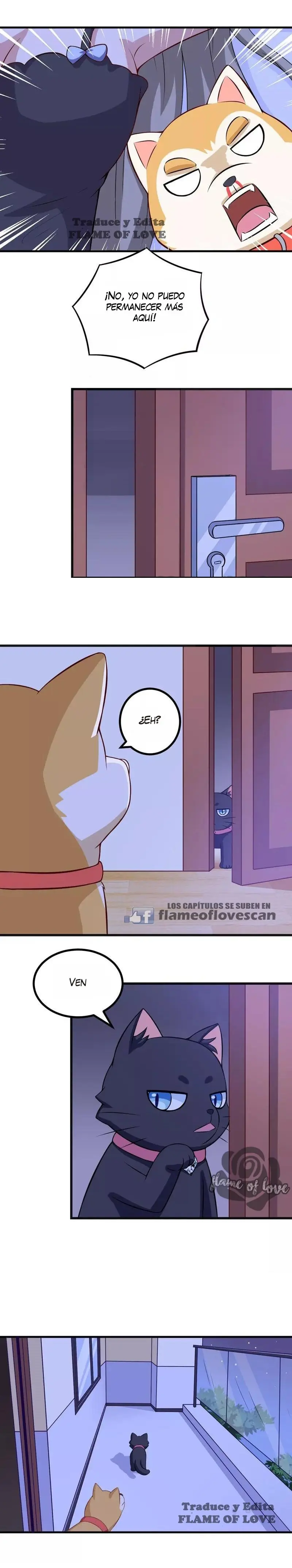 At Your Service, KITTY - Capítulo 85 - Página 6 - LectorTMOo