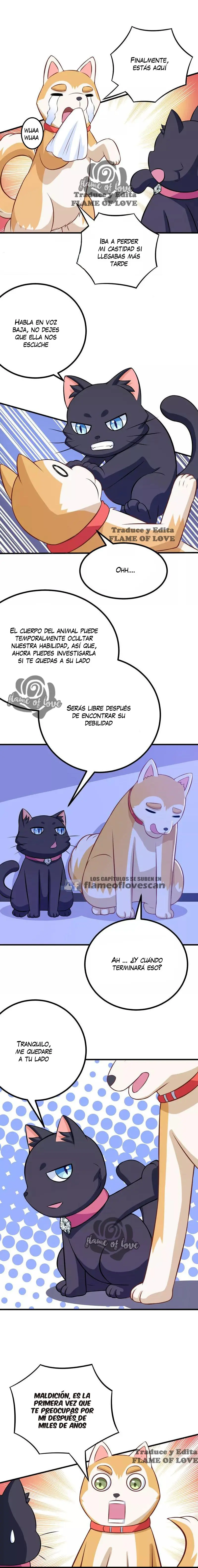 At Your Service, KITTY - Capítulo 85 - Página 7 - LectorTMOo