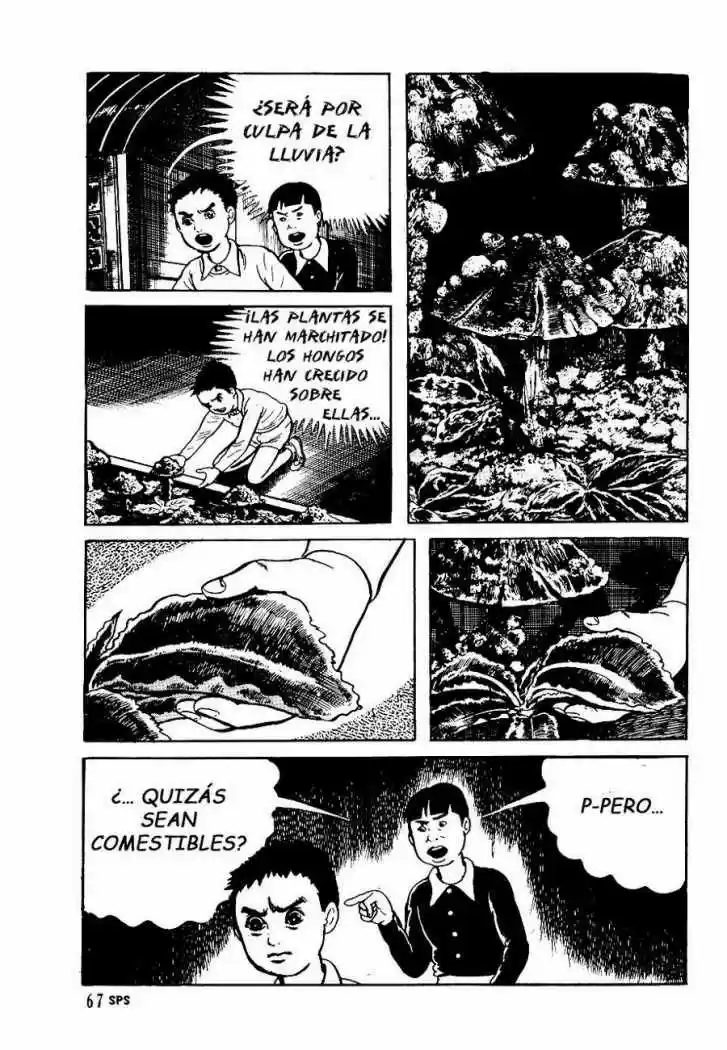 Aula a la deriva (1972) - Capítulo 26 - Página 22 - LectorTMOo