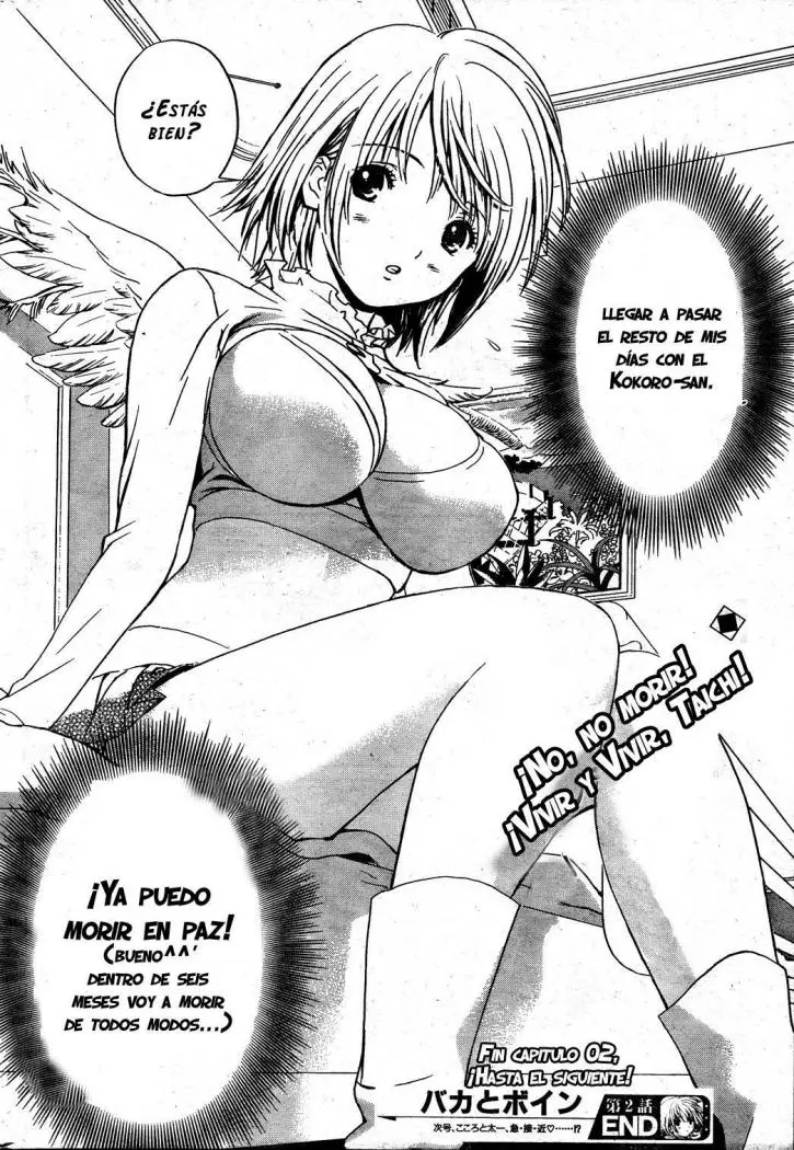 Baka to Boing (2008) - Capítulo 2 - Página 32 - LectorTMOo