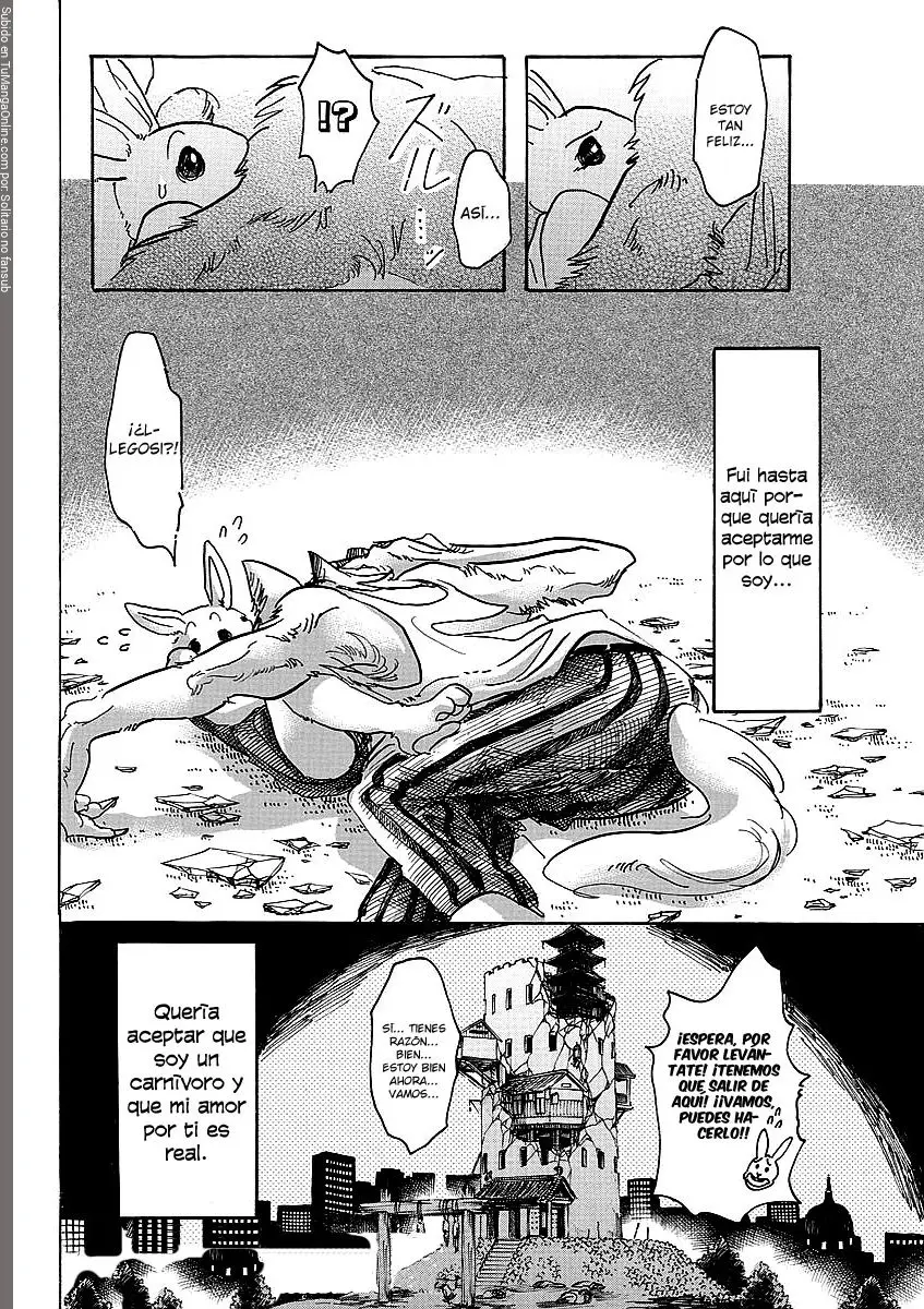 Beastars (2016) - Capítulo 41 - Página 19 - LectorTMOo