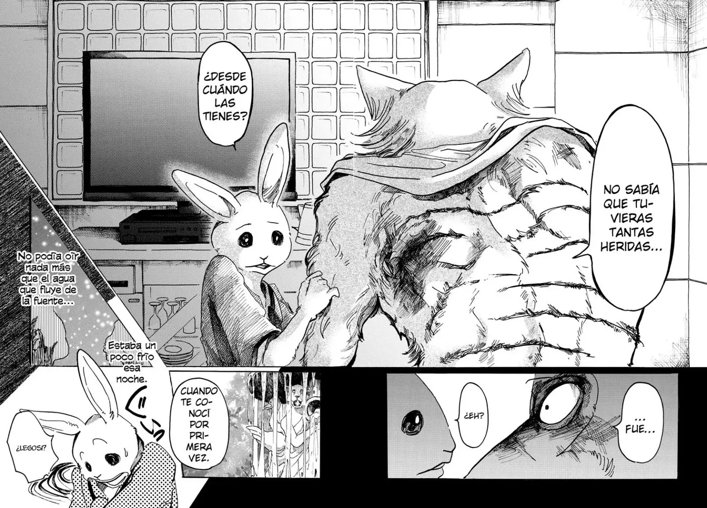 Beastars (2016) - Capítulo 43 - Página 19 - LectorTMOo