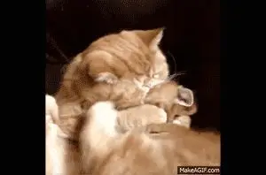 Behind the Gifs (2013) - Capítulo 1 - Página 10 - LectorTMOo